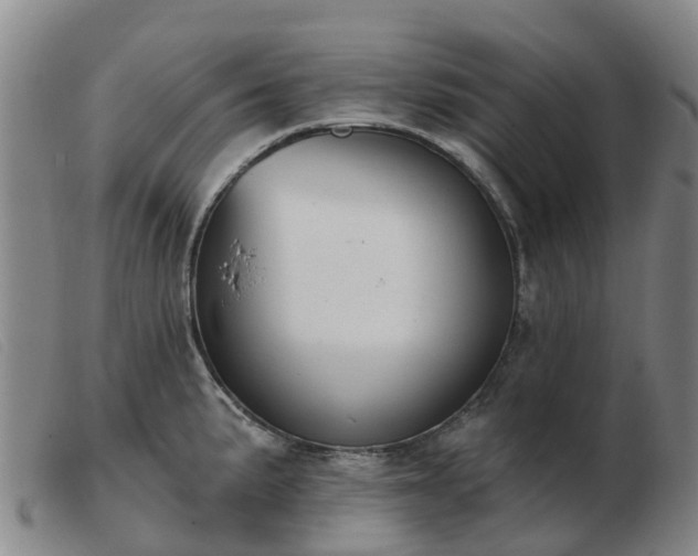 X0000103441191200809191717