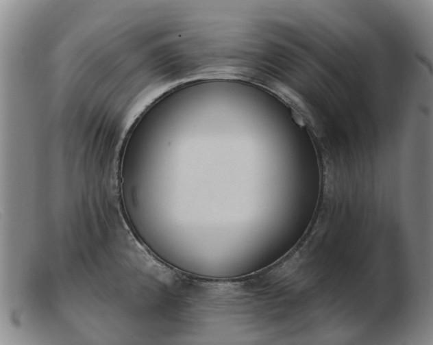 X0000103441192200809191717