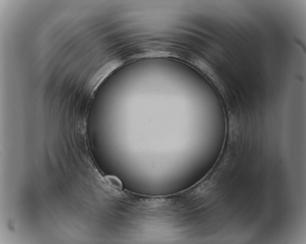 X0000103441193200809191717