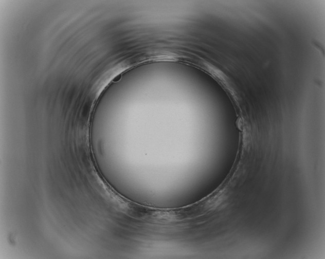X0000103441194200809191717