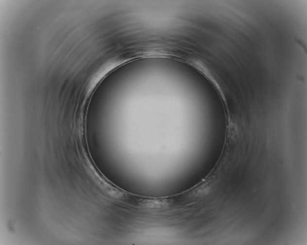 X0000103441195200809191717