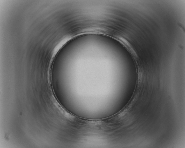 X0000103441196200809191717
