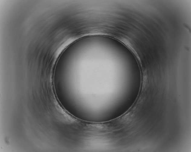 X0000103441197200809191717