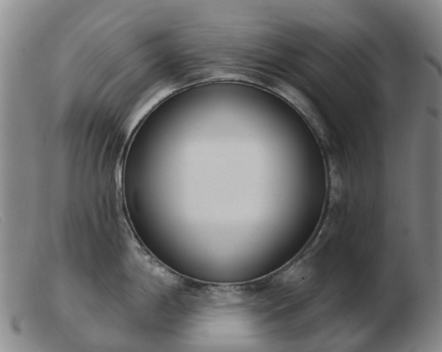 X0000103441198200809191717