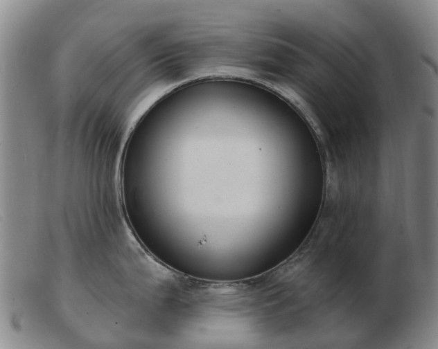 X0000103441199200809191717