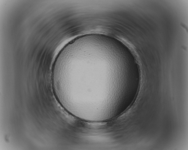 X0000103441200200809191717