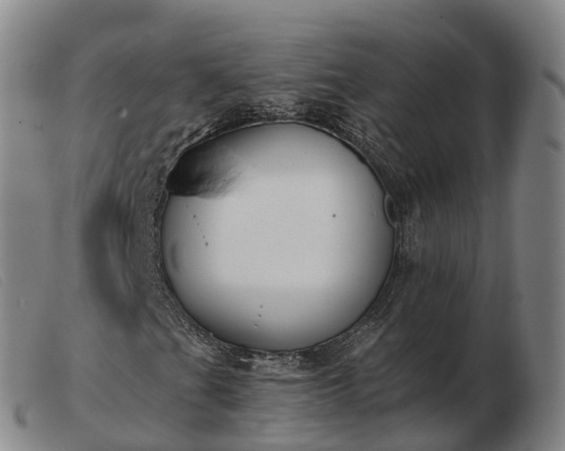 X0000103441201200809191716