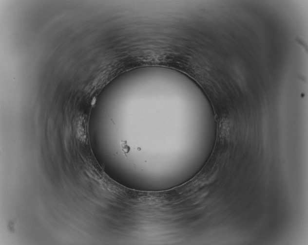 X0000103441202200809191716