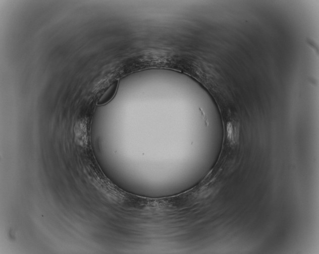 X0000103441203200809191716
