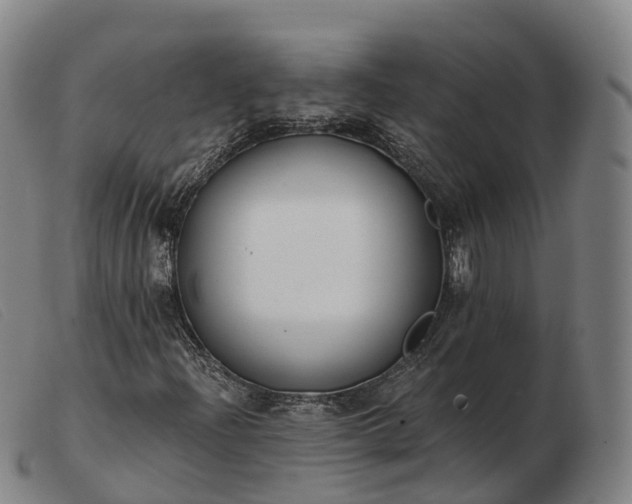 X0000103441204200809191716