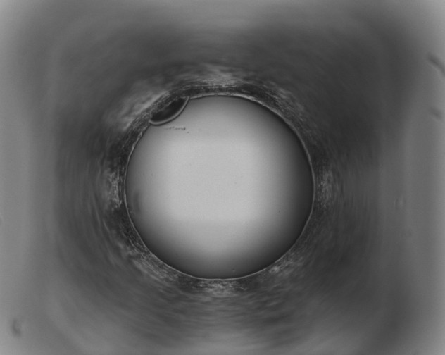 X0000103441205200809191716