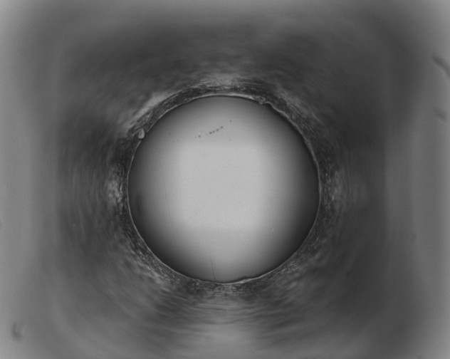 X0000103441206200809191716