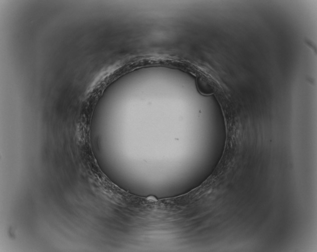 X0000103441207200809191716