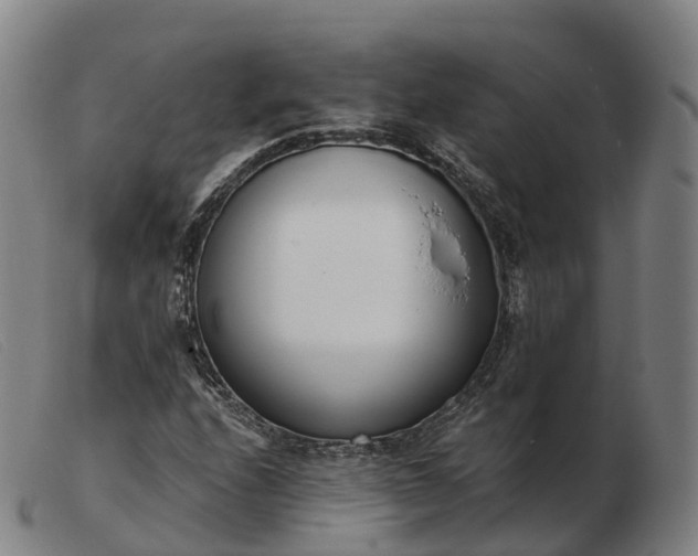 X0000103441208200809191716