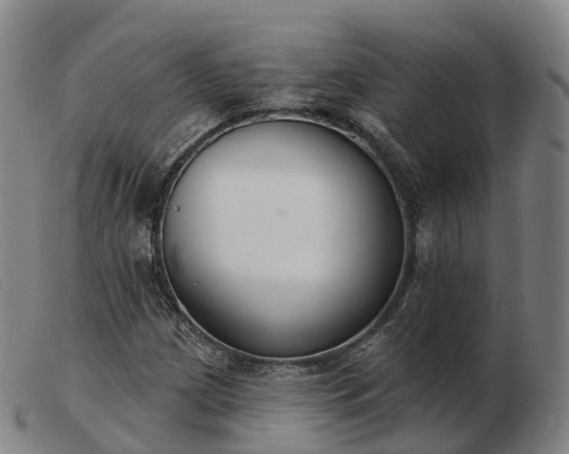 X0000103441209200809191716