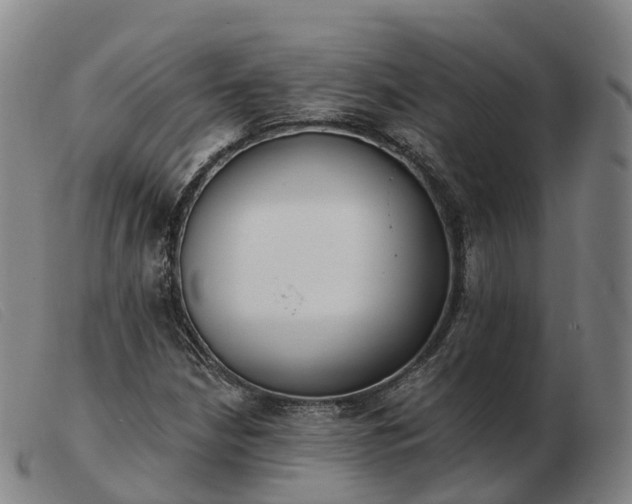 X0000103441210200809191716