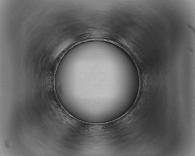 X0000103441211200809191716
