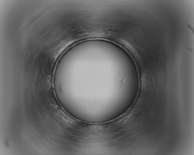 X0000103441212200809191716