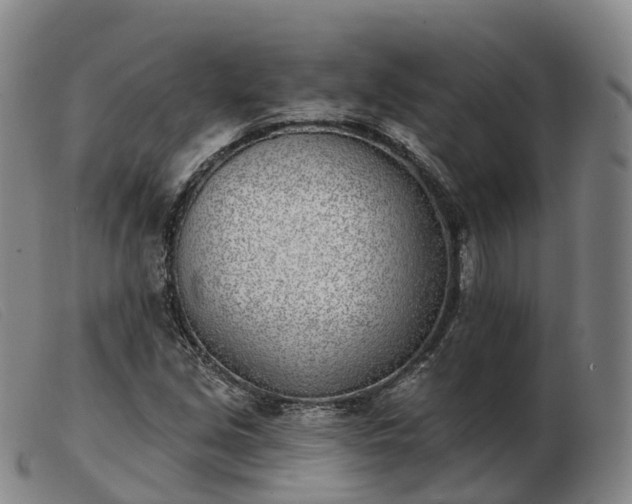 X0000103441213200809191716