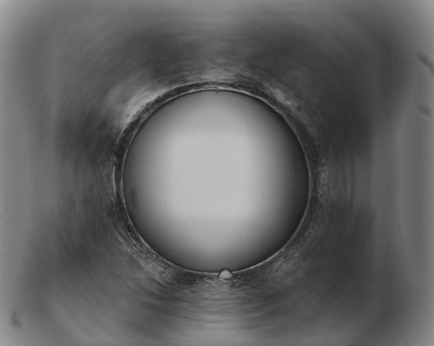 X0000103441214200809191716