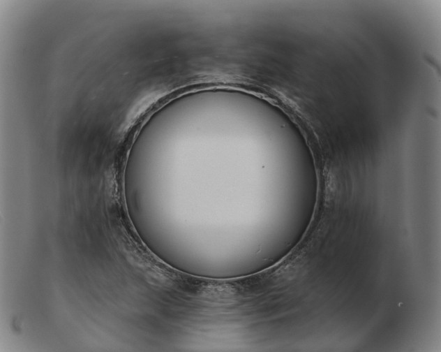 X0000103441215200809191716