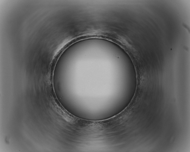 X0000103441216200809191716