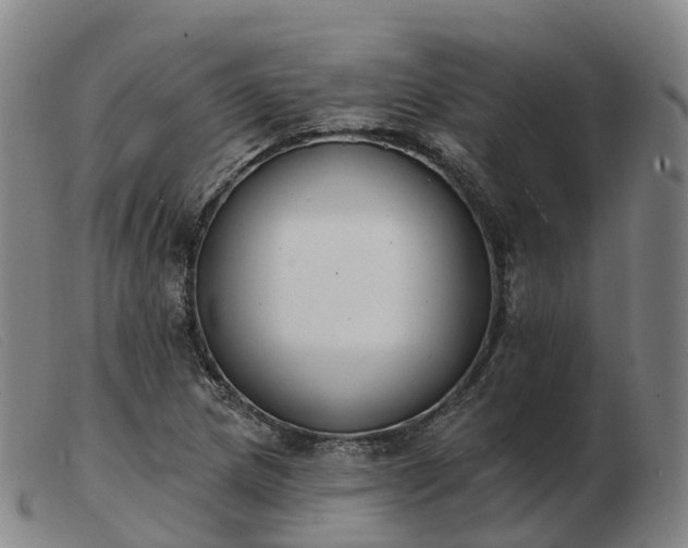 X0000103441217200809191716