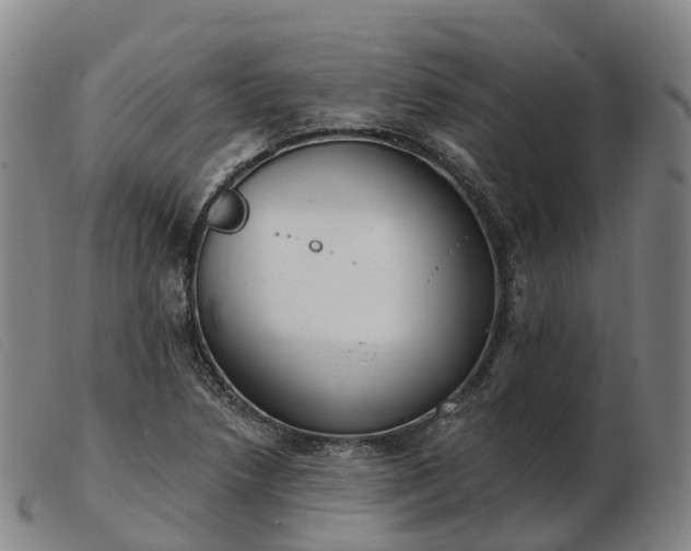X0000103441218200809191716