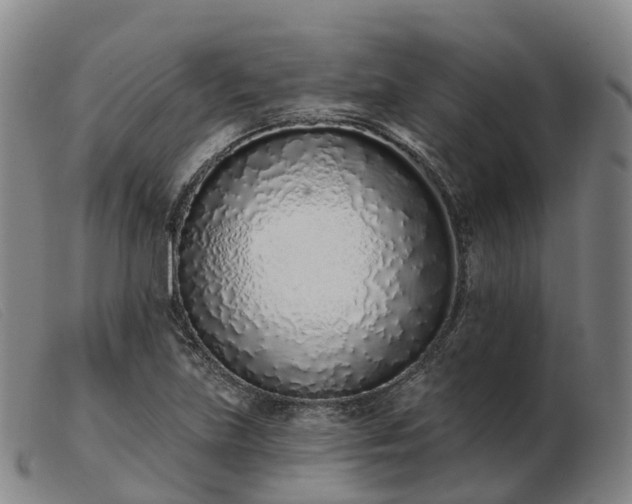 X0000103441219200809191716