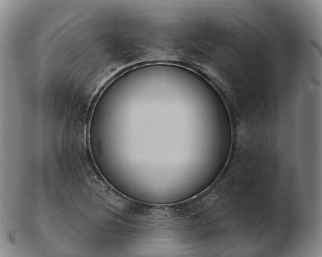 X0000103441220200809191716