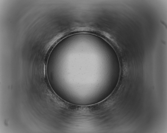 X0000103441221200809191716