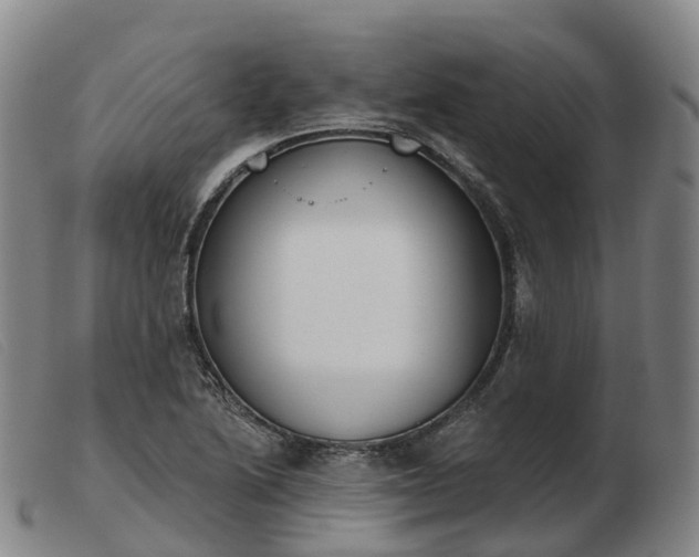 X0000103441222200809191717