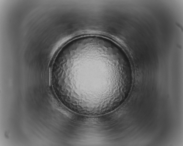 X0000103441223200809191717