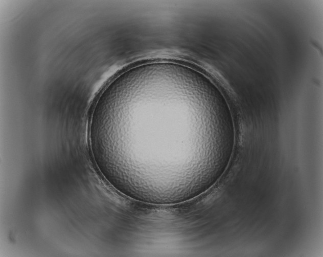 X0000103441224200809191717