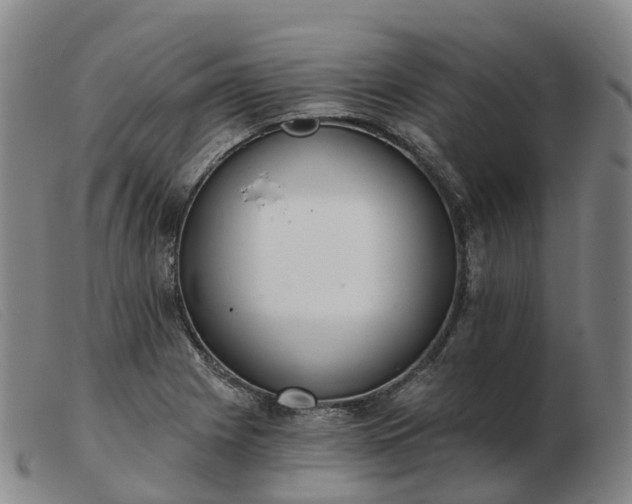 X0000103441225200809191717