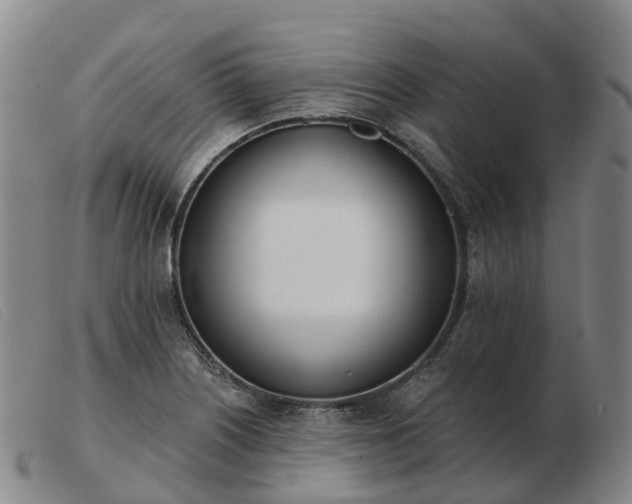 X0000103441226200809191717