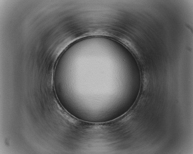 X0000103441228200809191717