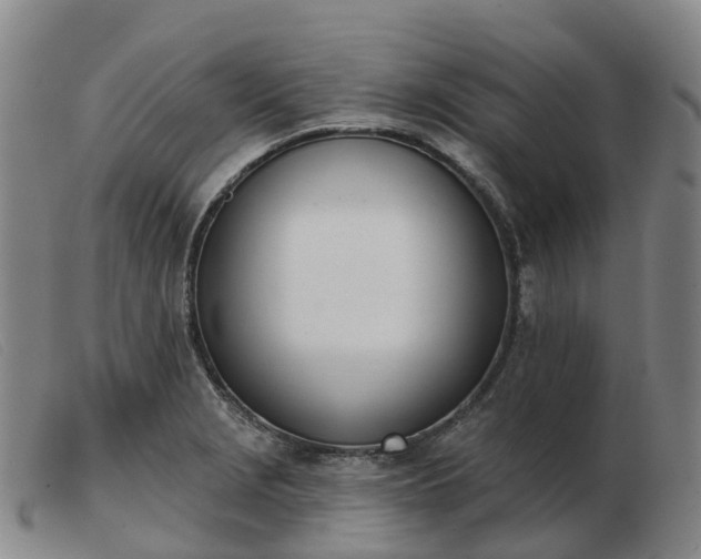 X0000103441229200809191717