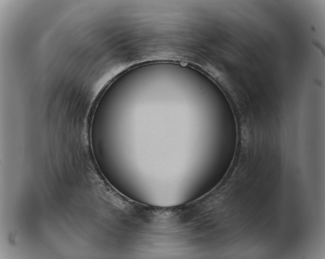 X0000103441230200809191717