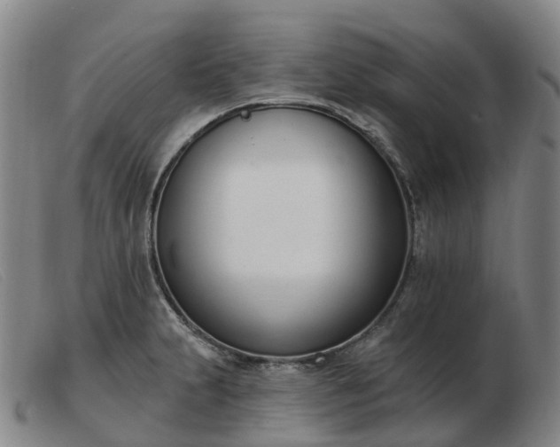 X0000103441231200809191717