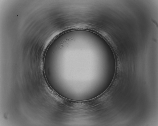 X0000103441232200809191717