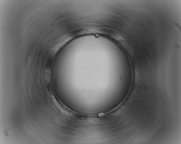 X0000103441233200809191717