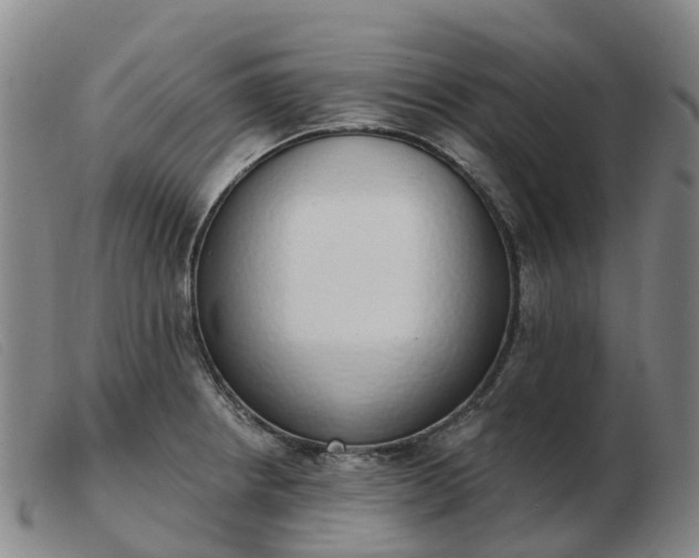 X0000103441234200809191717