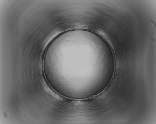 X0000103441235200809191717