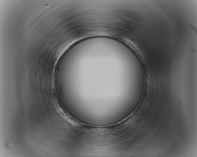 X0000103441236200809191717