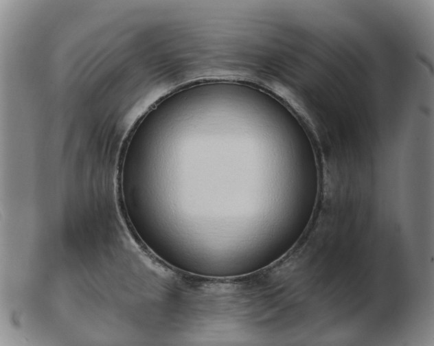 X0000103441237200809191717