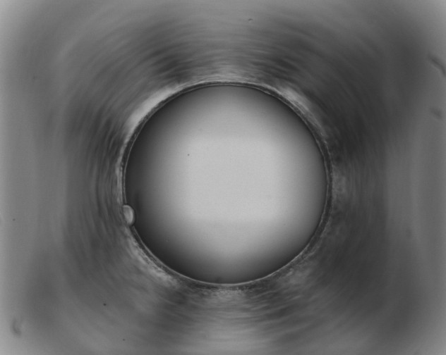X0000103441238200809191717