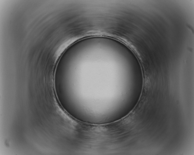 X0000103441239200809191717
