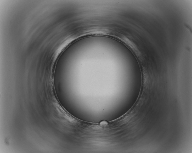 X0000103441240200809191717
