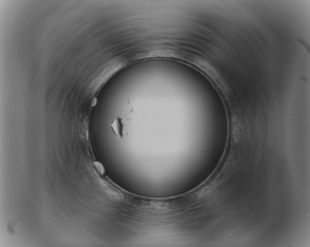 X0000103441241200809191717